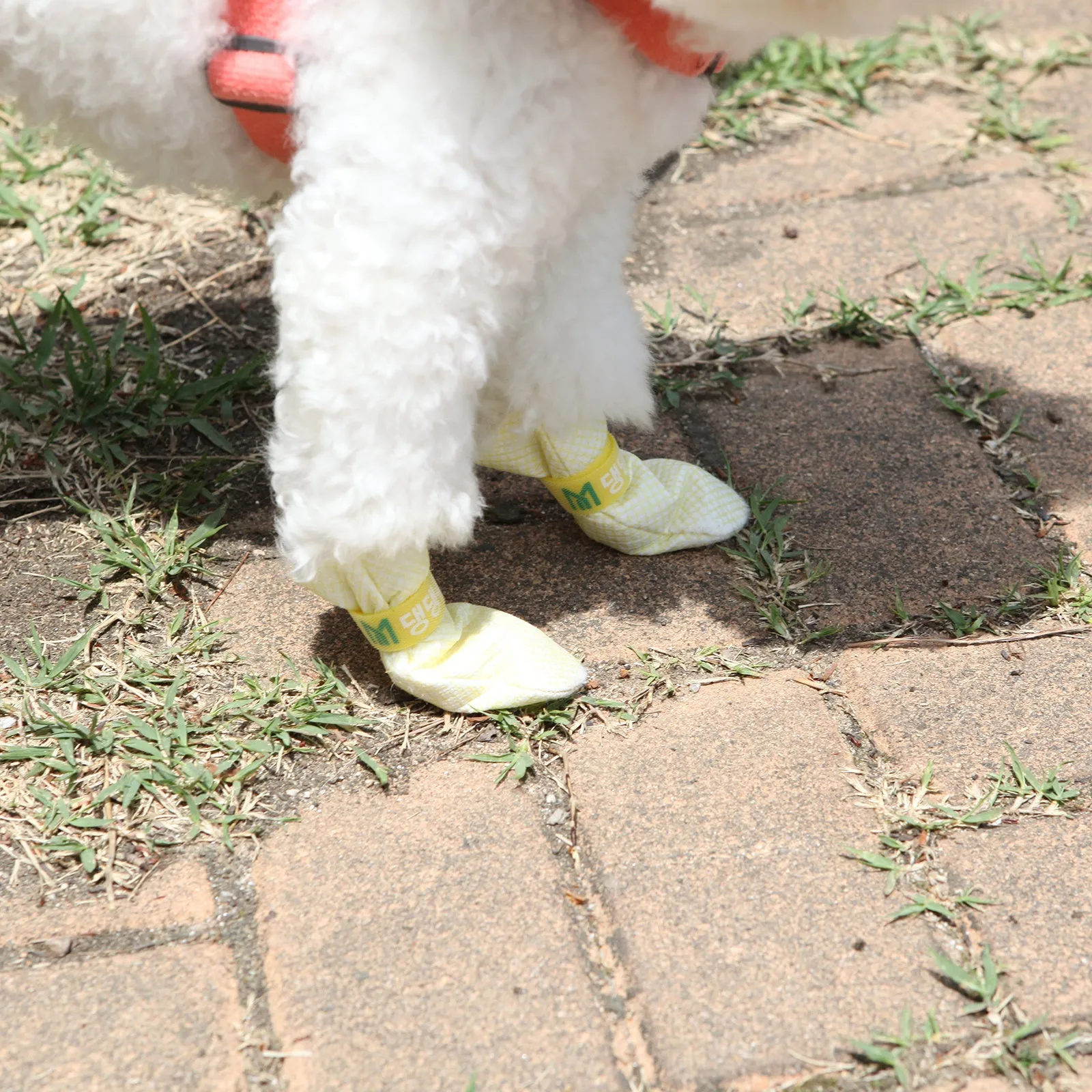 28pc Waterproof Anti-Slip Dog Shoes, Pink, XX-Large - Daeng Daeng