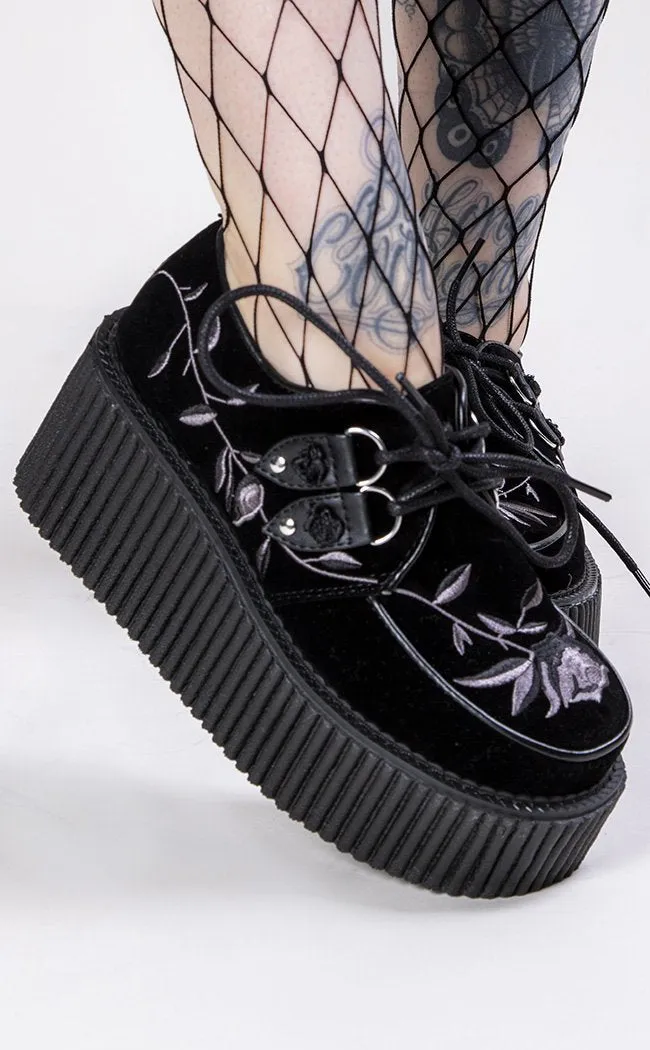 CREEPER-219 Black Velvet Creepers