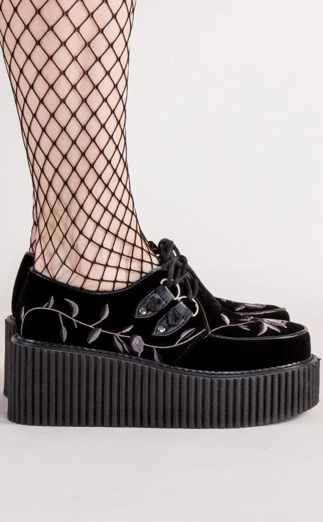 CREEPER-219 Black Velvet Creepers