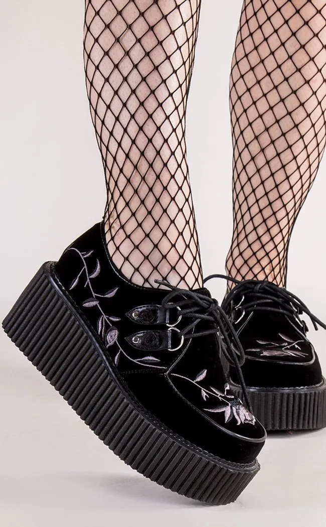 CREEPER-219 Black Velvet Creepers