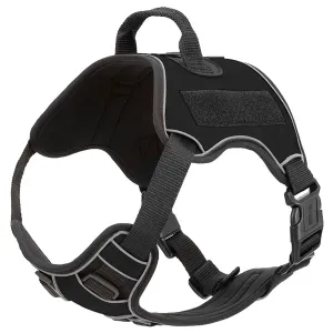 Quest Multi-Purpose Harness, XSmall