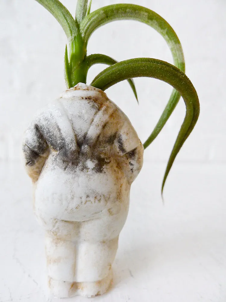 White Rabbit Antique German Bisque Headless Doll Air Plant Garden